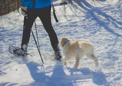 Winter-Spaziergänge