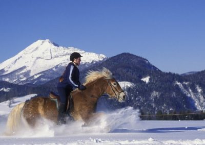 Winter mit Pferden